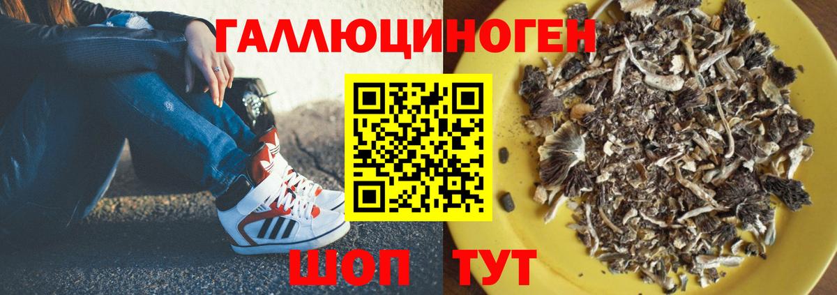 Псилоцибиновые грибы Cubensis  Вход с VPN  Сертолово 